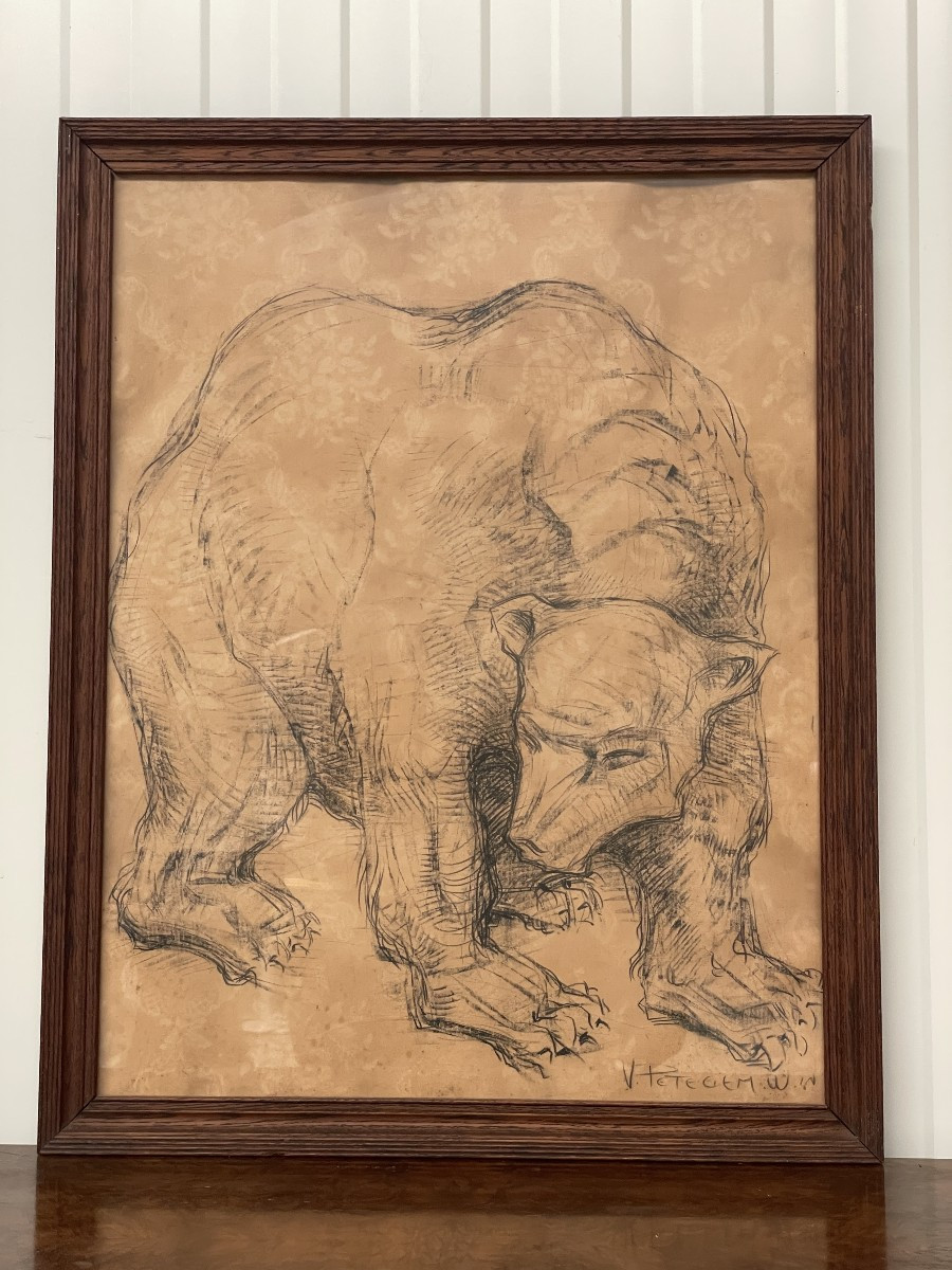 Van Petegem Dessin d'un ours polaire-photo-7