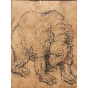 Van Petegem Dessin d'un ours polaire