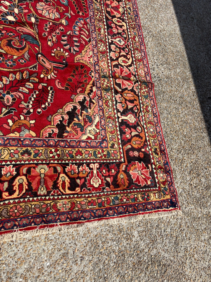Iranian Carpet -photo-3