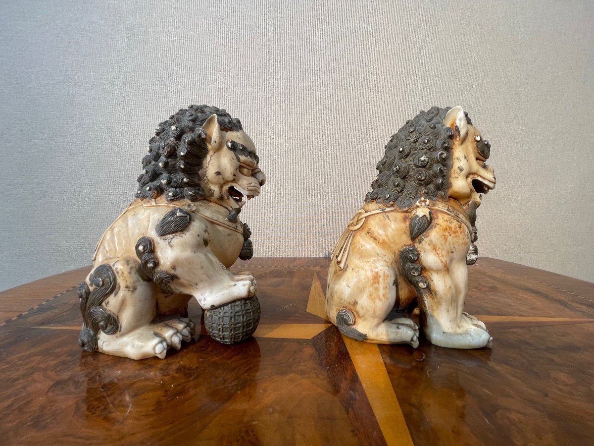 Pair Of Carved Fô Dogs-photo-3