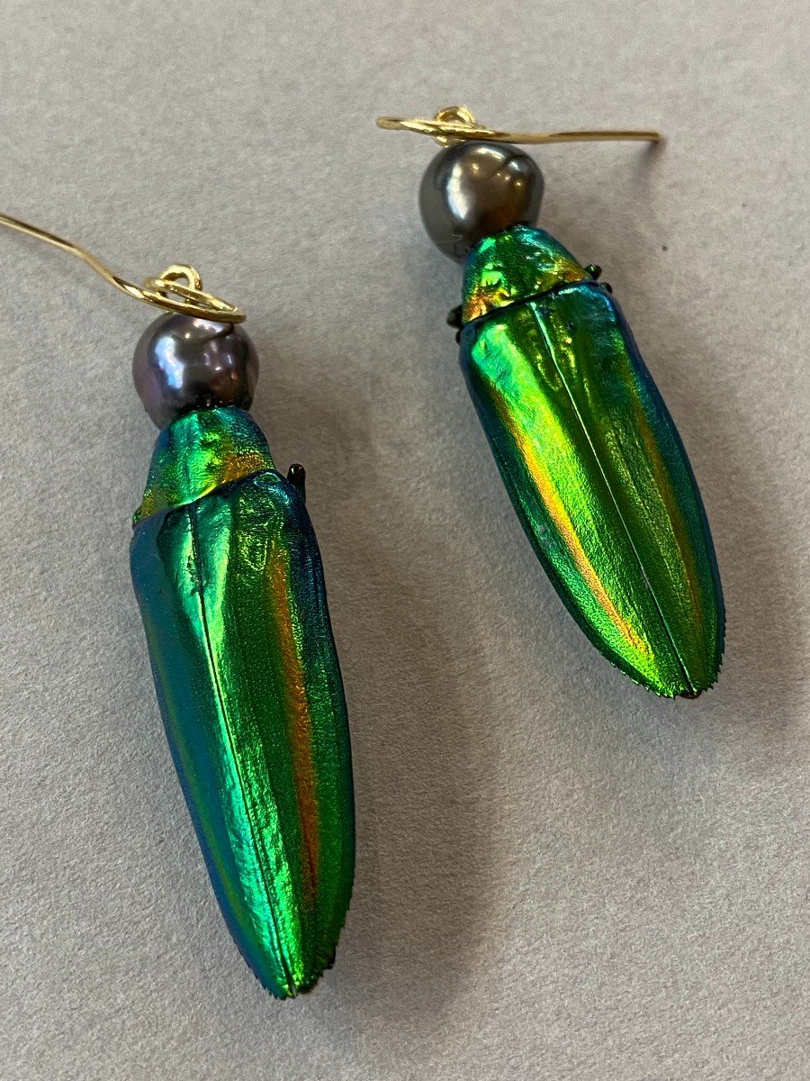 Boucles d'Oreille Scarabée Ref  386.230