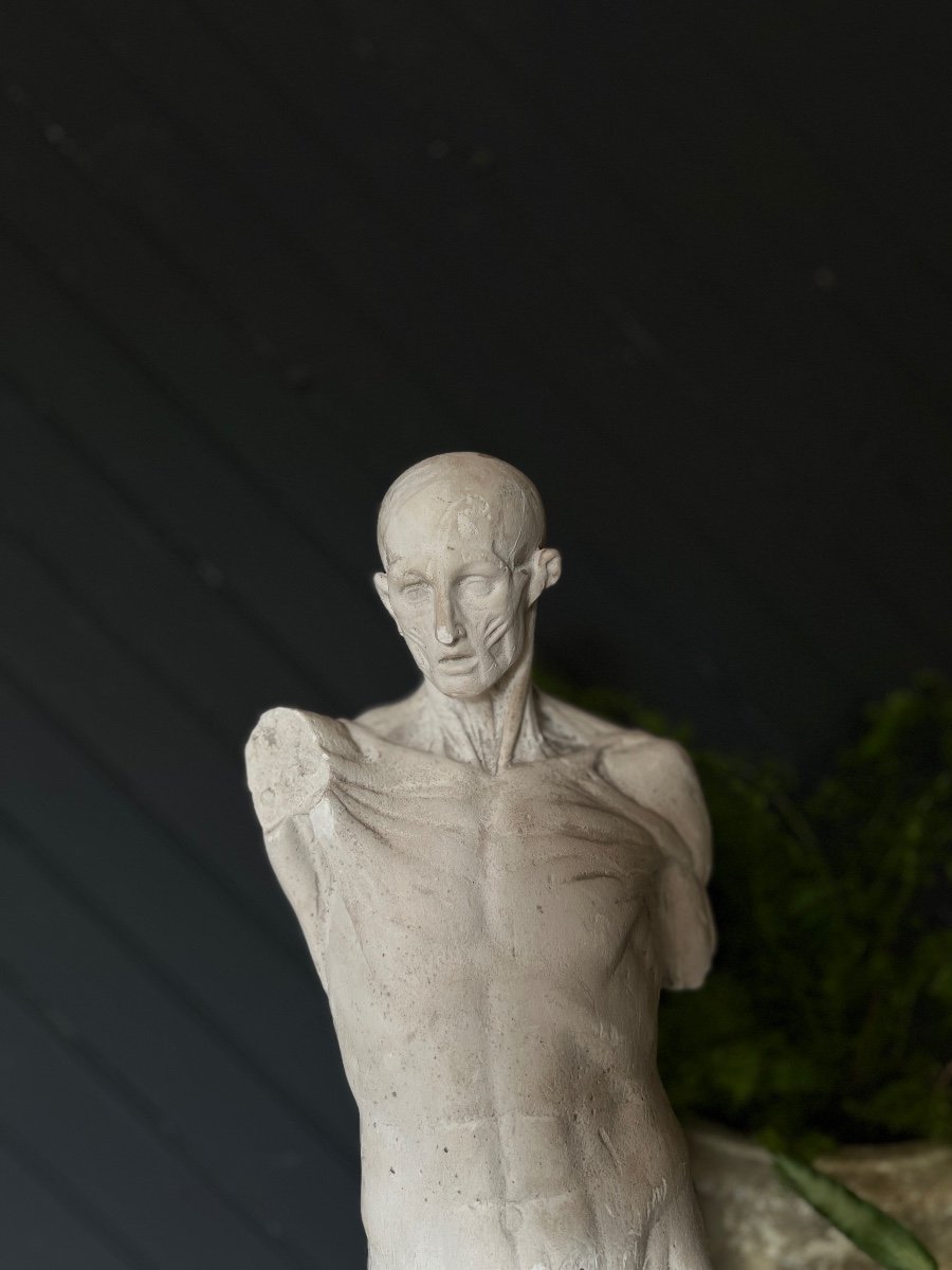 19th Century Plaster Skinned-photo-1