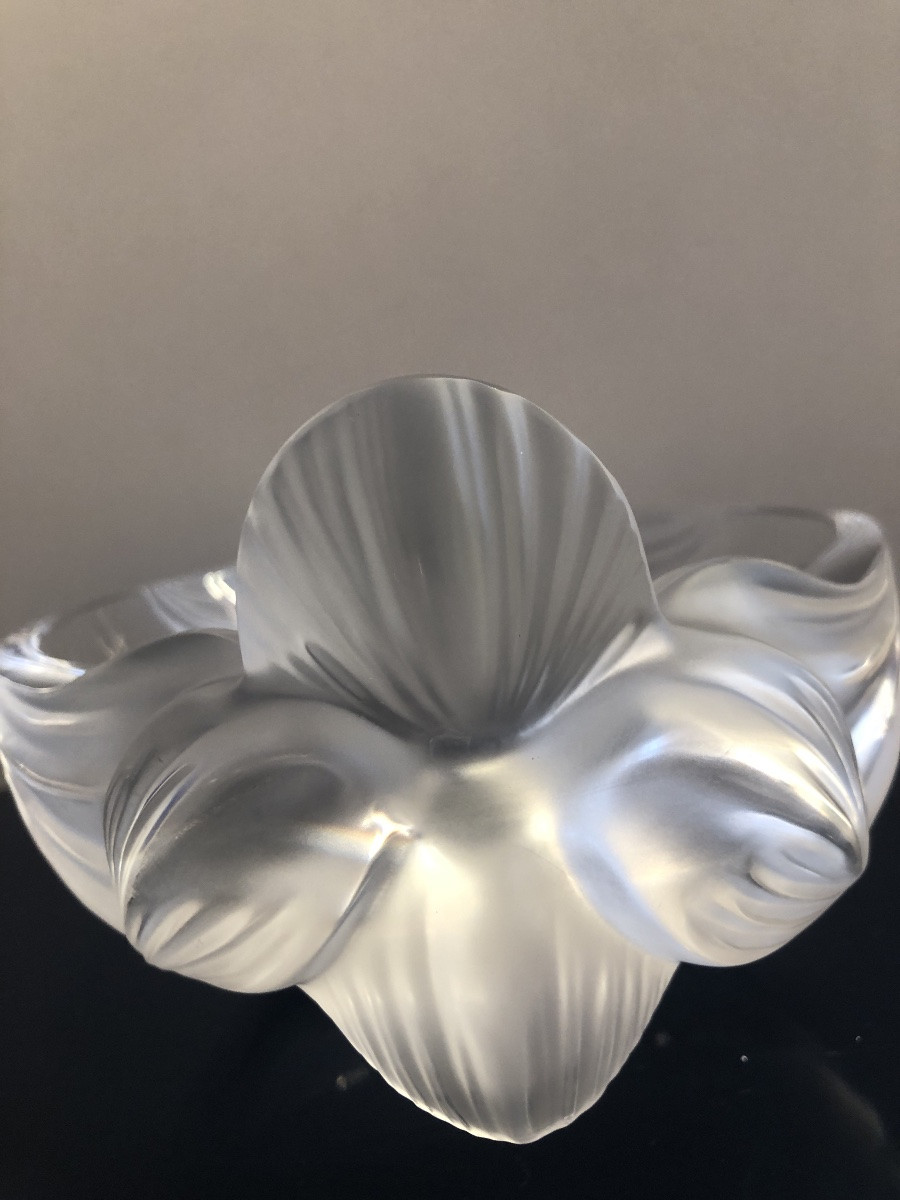Lalique France Coupe Loriol -photo-3