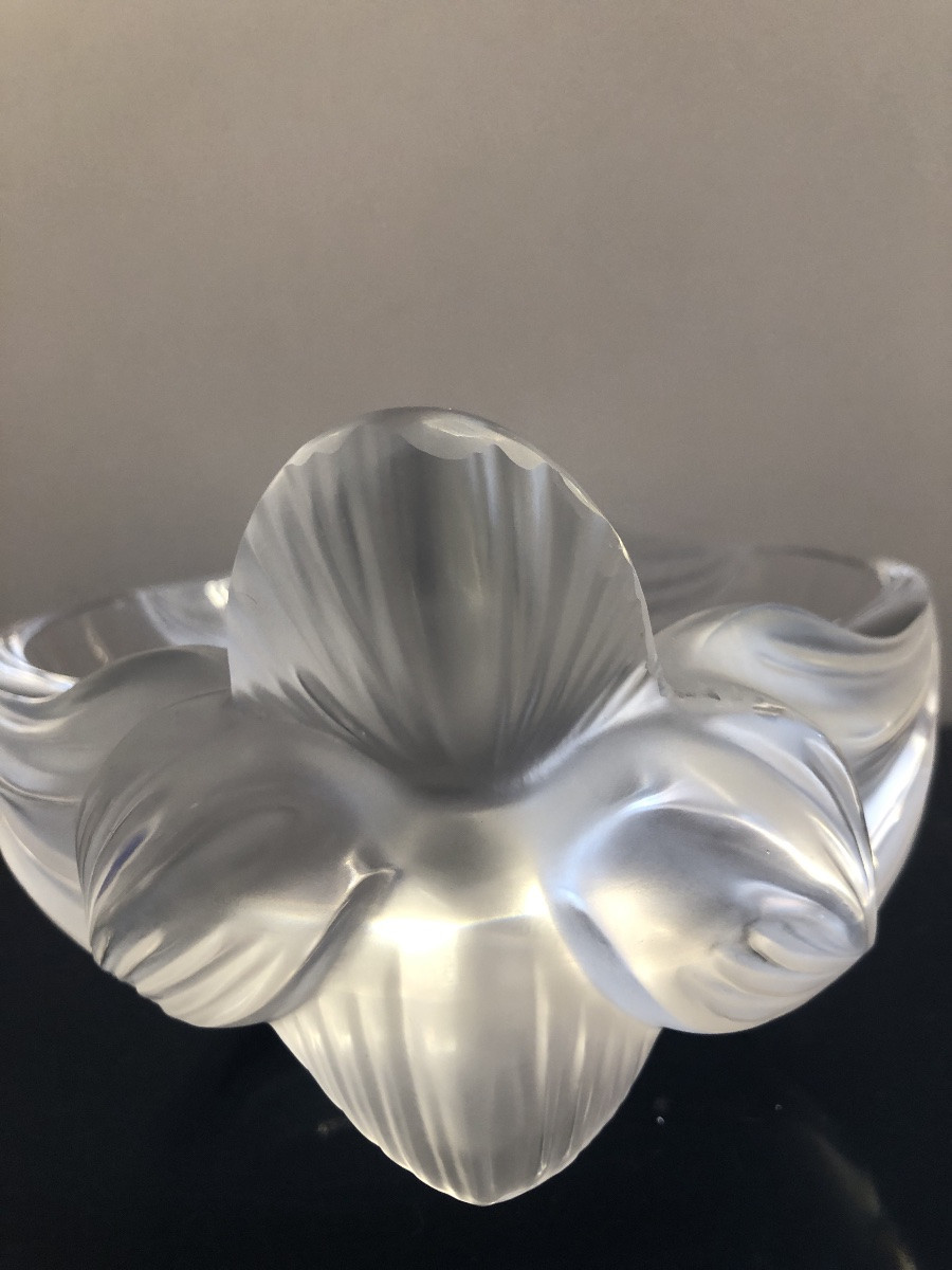 Lalique France Coupe Loriol -photo-4