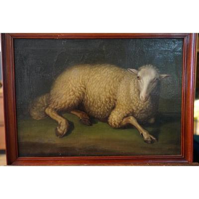 Exceptional Oil On Canvas From The End Of The 17th Representative A Sitting Sheep