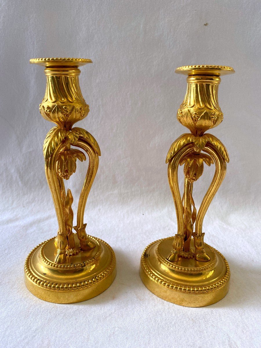 Louis XVI Candlesticks In Gilt Bronze