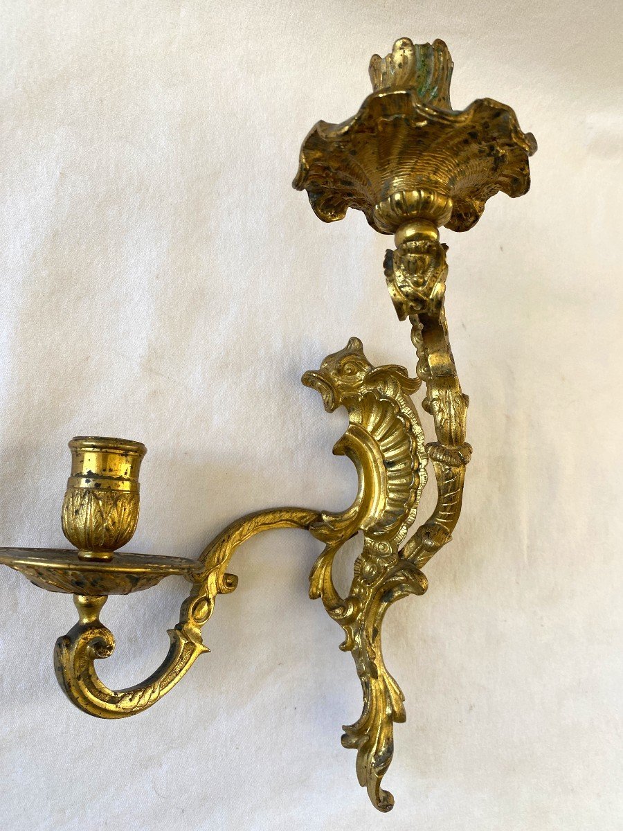 Regency Period Sconces In Gilt Bronze With Dolphins-photo-2