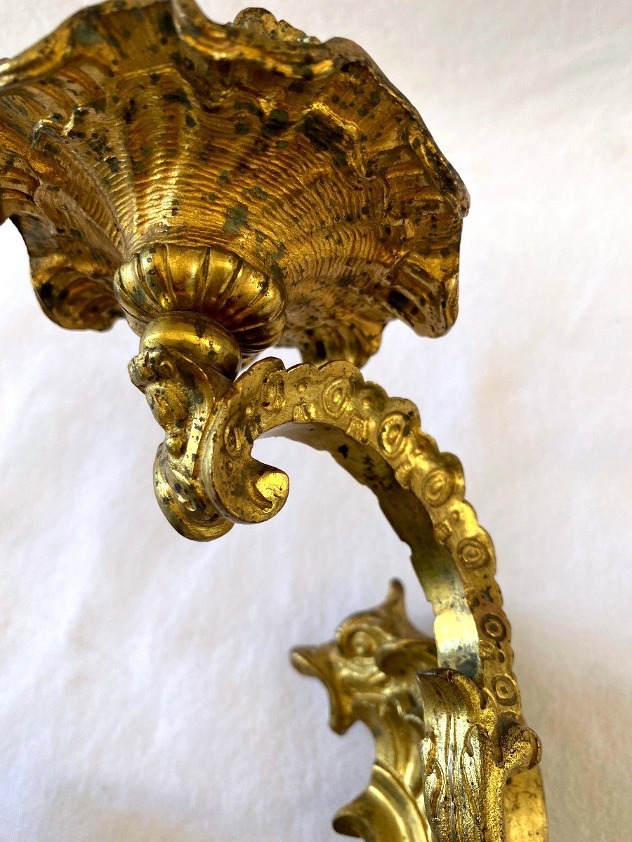 Regency Period Sconces In Gilt Bronze With Dolphins-photo-4