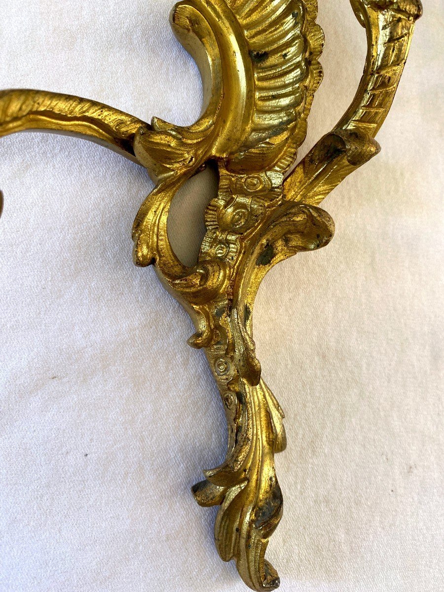 Regency Period Sconces In Gilt Bronze With Dolphins-photo-1