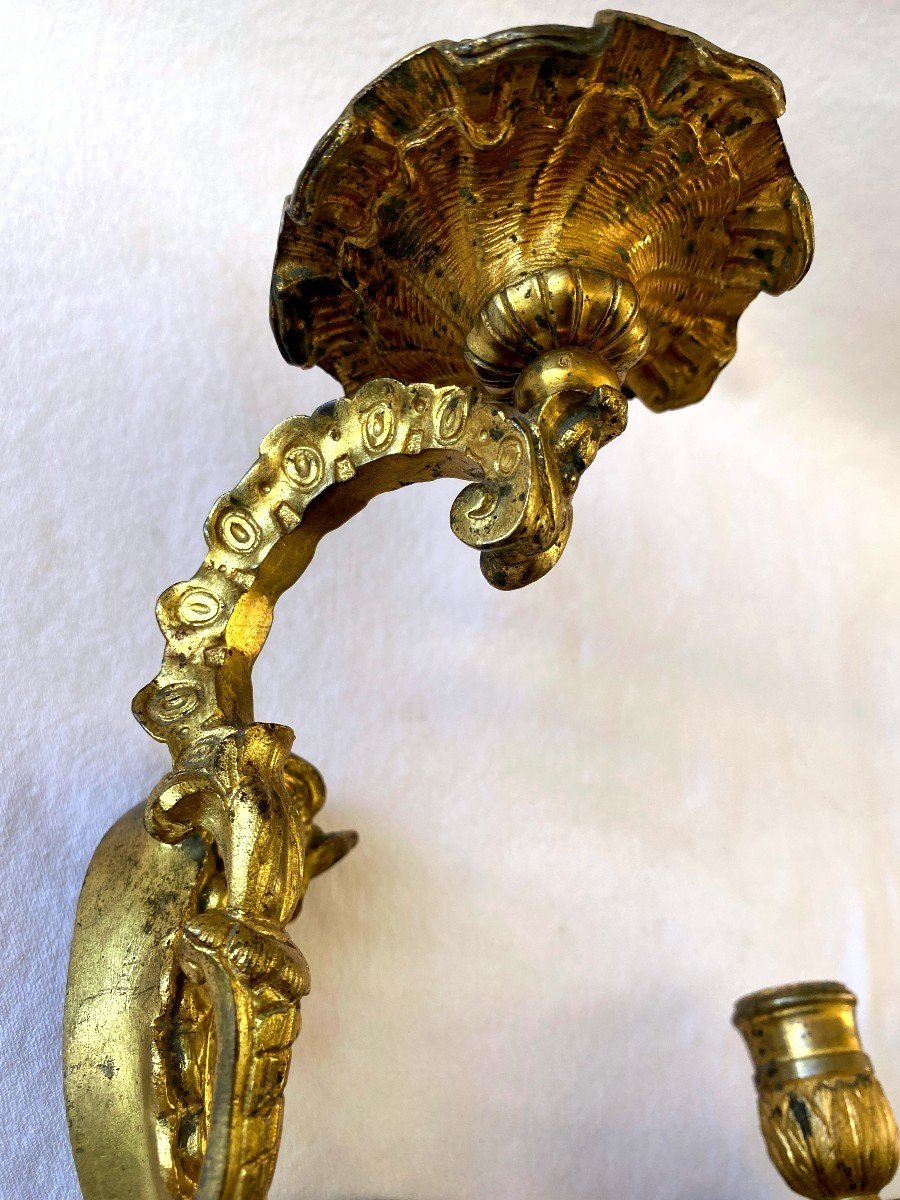 Regency Period Sconces In Gilt Bronze With Dolphins-photo-3