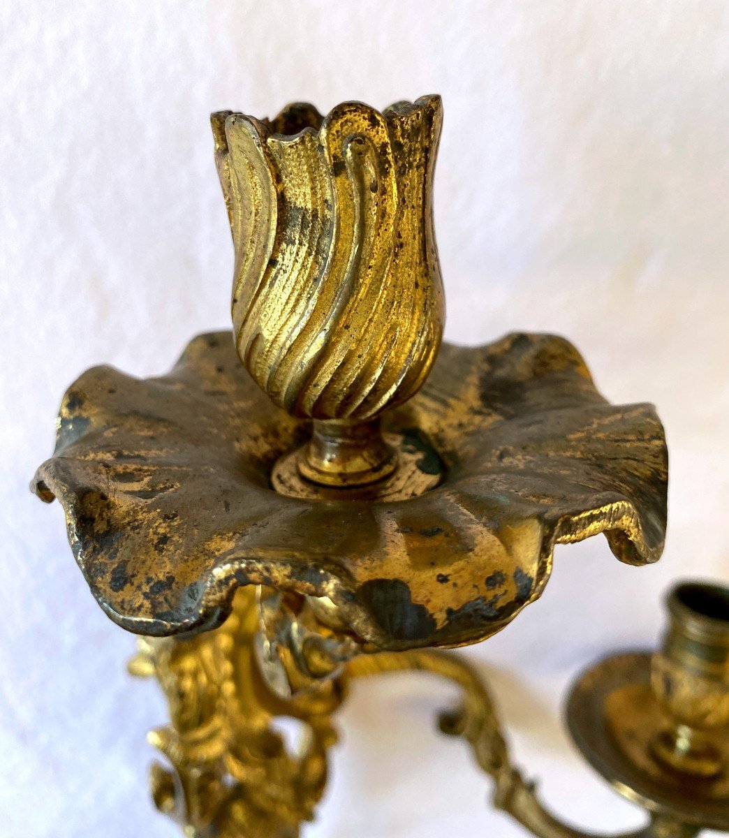 Regency Period Sconces In Gilt Bronze With Dolphins-photo-4