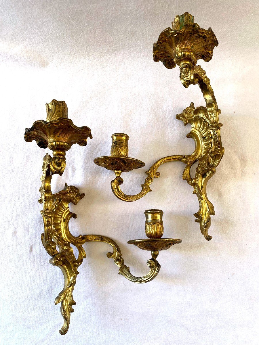 Regency Period Sconces In Gilt Bronze With Dolphins