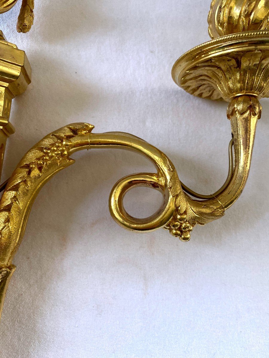 Directoire Period Wall Lights In Gilt Bronze-photo-4