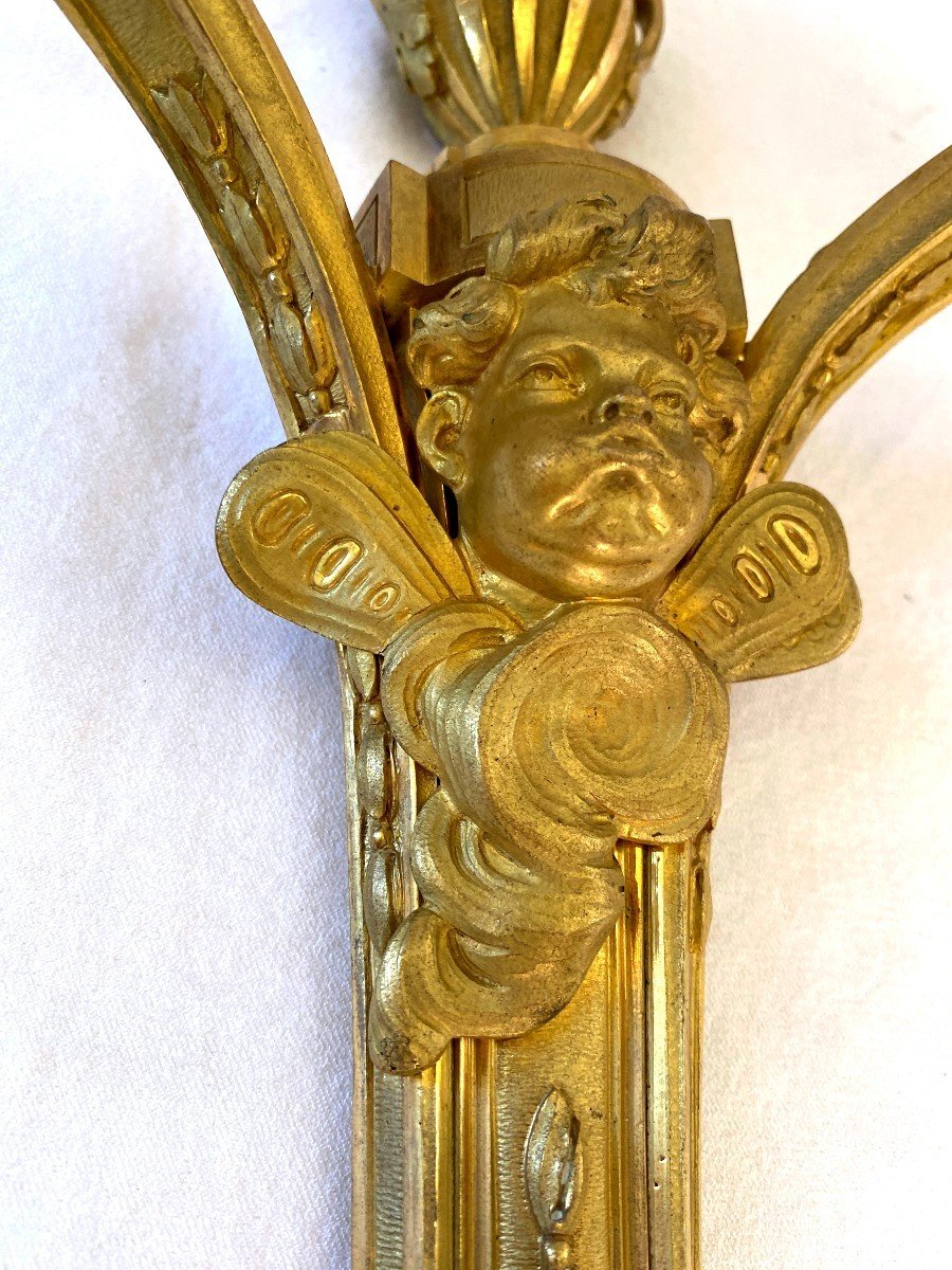 Pair Of Louis XVI Style Gilded Bronze Sconces-photo-2