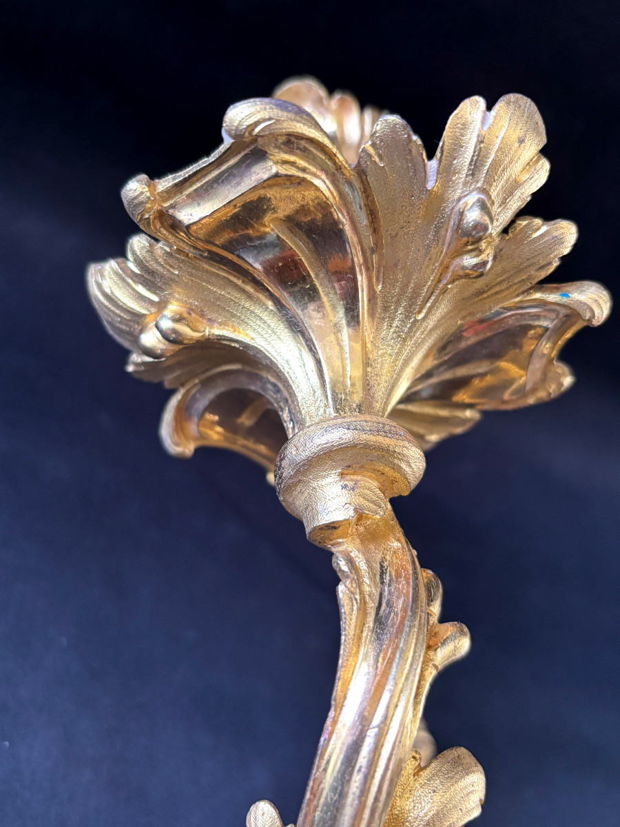 Paire d'appliques d'époque Louis XV en bronze doré-photo-1