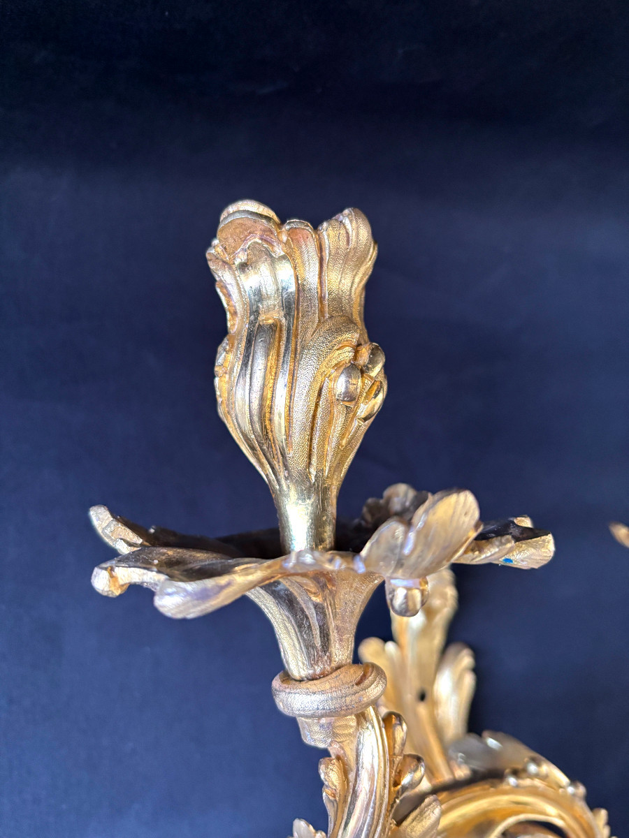 Paire d'appliques d'époque Louis XV en bronze doré-photo-2