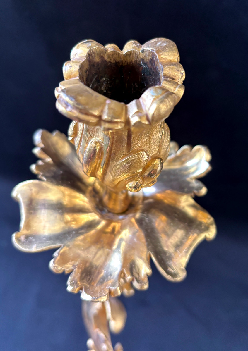 Paire d'appliques d'époque Louis XV en bronze doré-photo-6