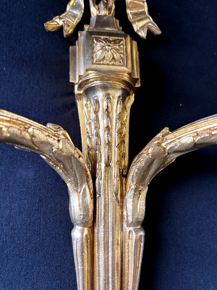 Paire d'Appliques Style Louis XVI en Bronze Doré-photo-4