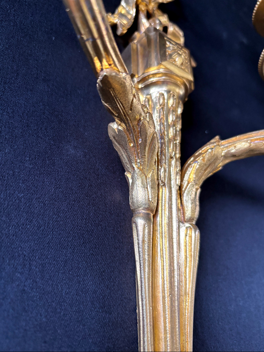 Paire d'Appliques Style Louis XVI en Bronze Doré-photo-3