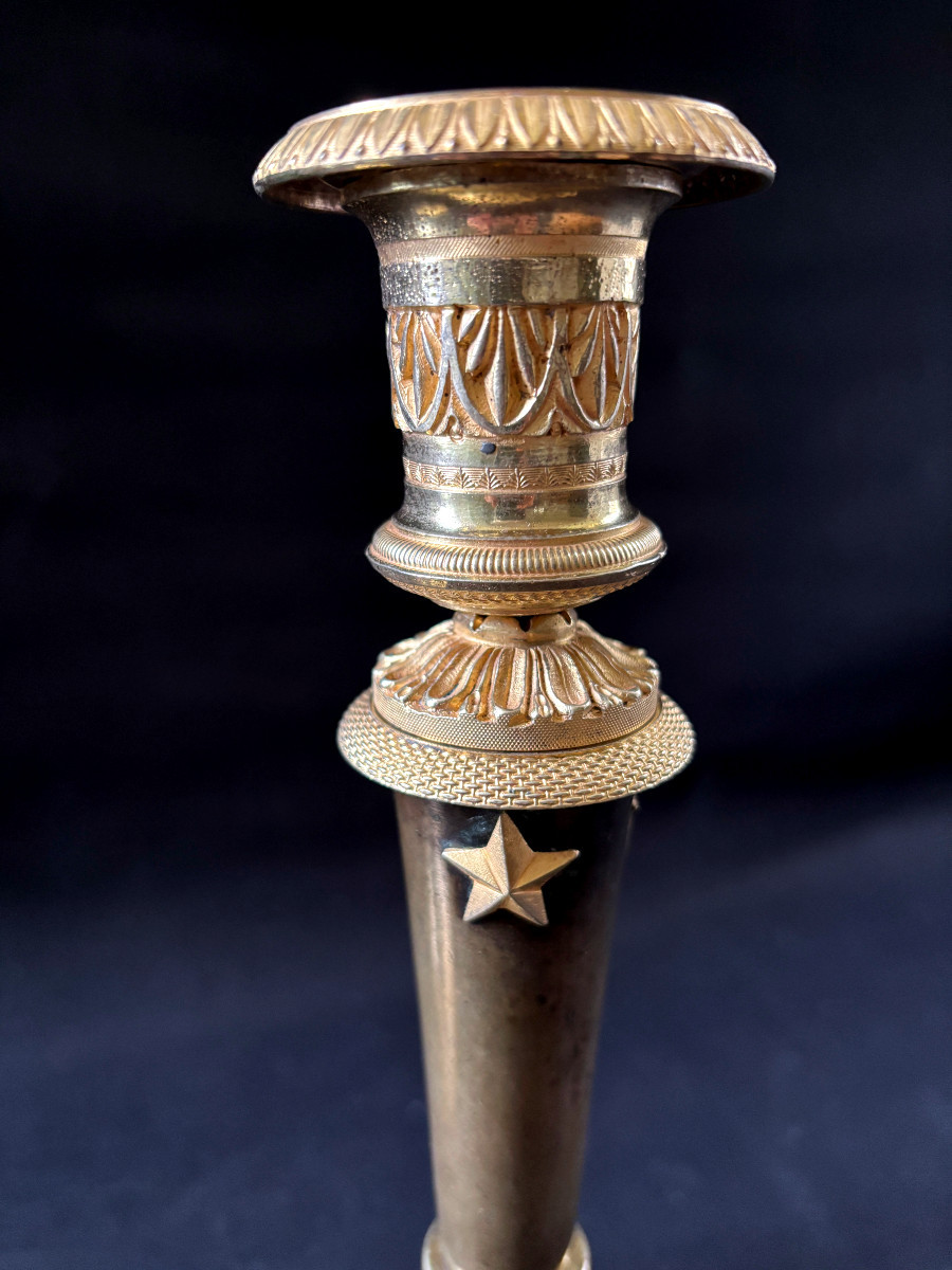 Claude Galle Pair Of Large Torches In Gilt And Patinated Bronze-photo-2