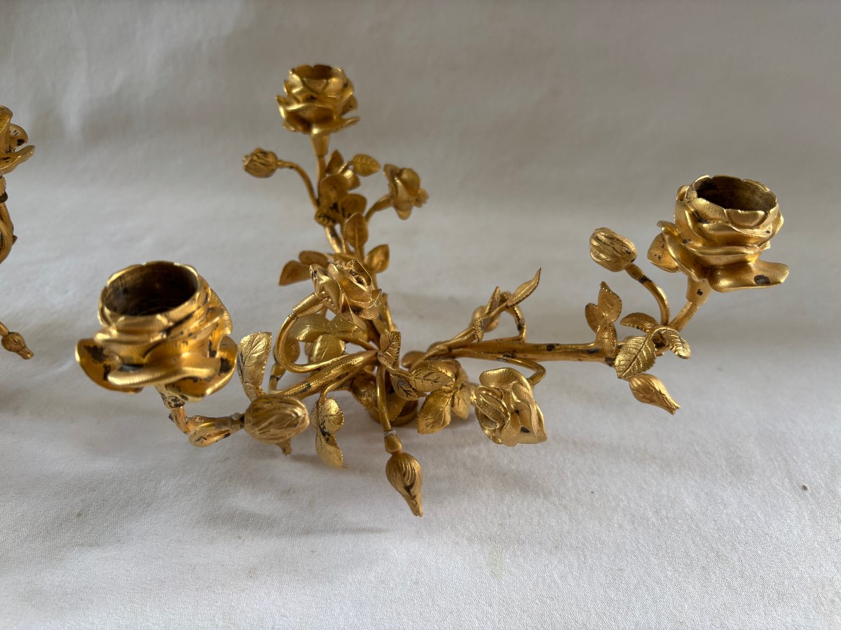 Pair Of Gilt Bronze Candelabra Light Clusters-photo-3