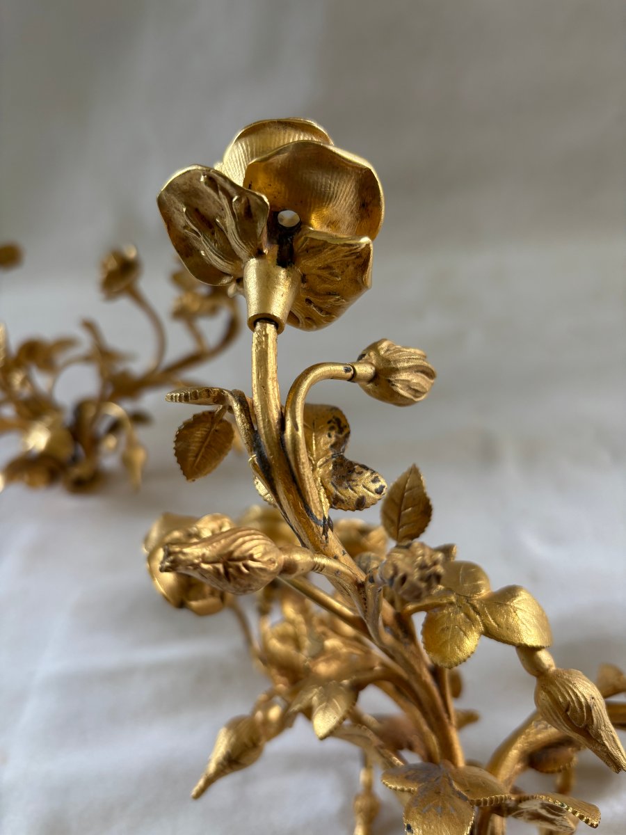 Pair Of Gilt Bronze Candelabra Light Clusters-photo-1