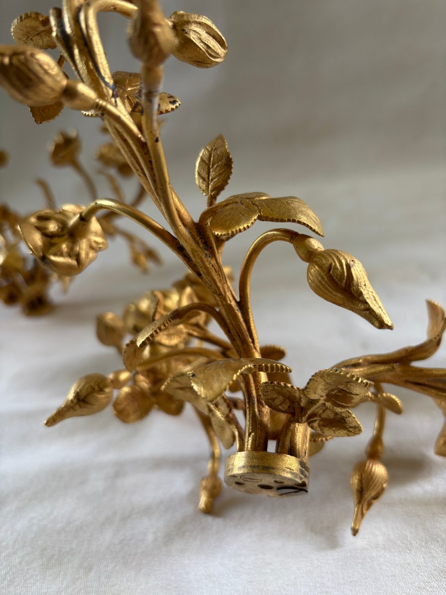 Pair Of Gilt Bronze Candelabra Light Clusters-photo-2