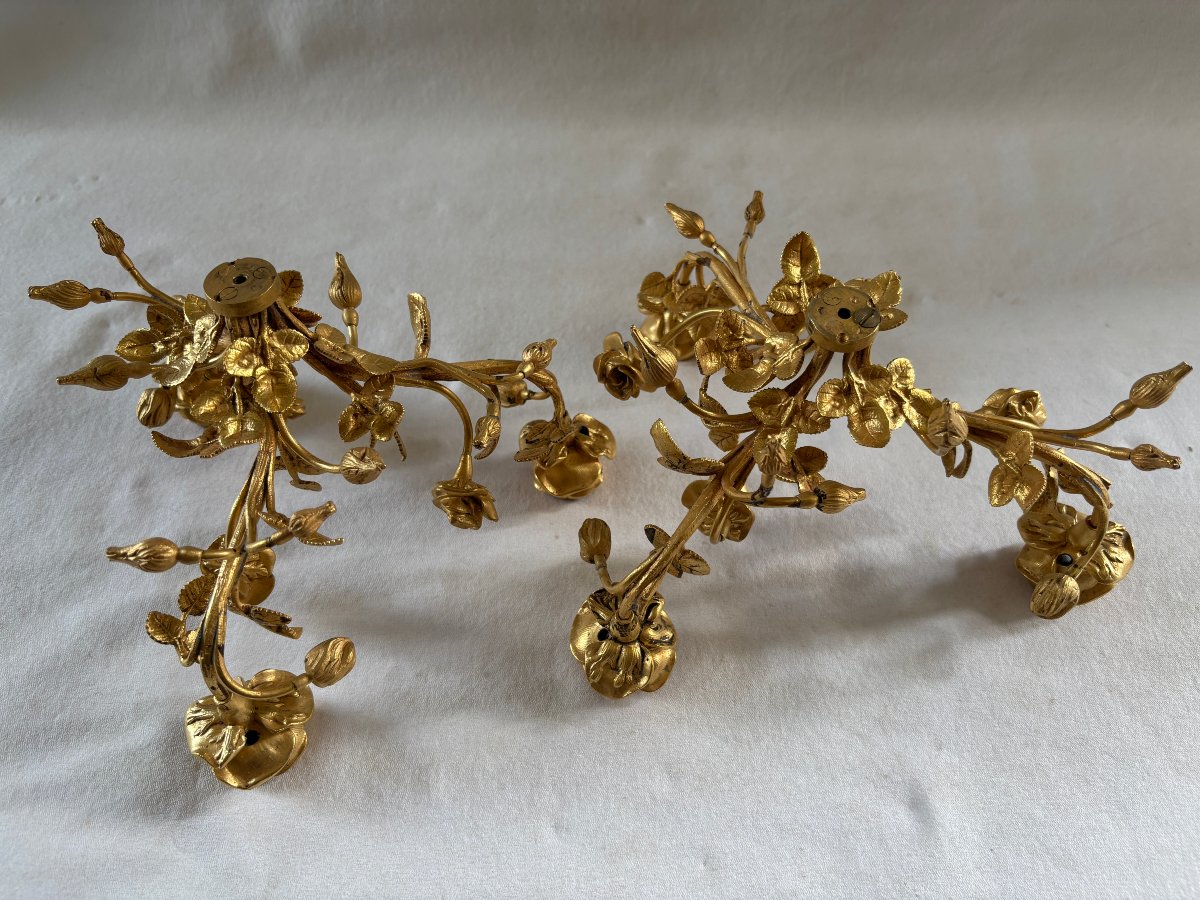 Pair Of Gilt Bronze Candelabra Light Clusters-photo-3