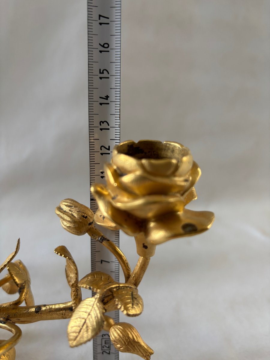 Pair Of Gilt Bronze Candelabra Light Clusters-photo-5