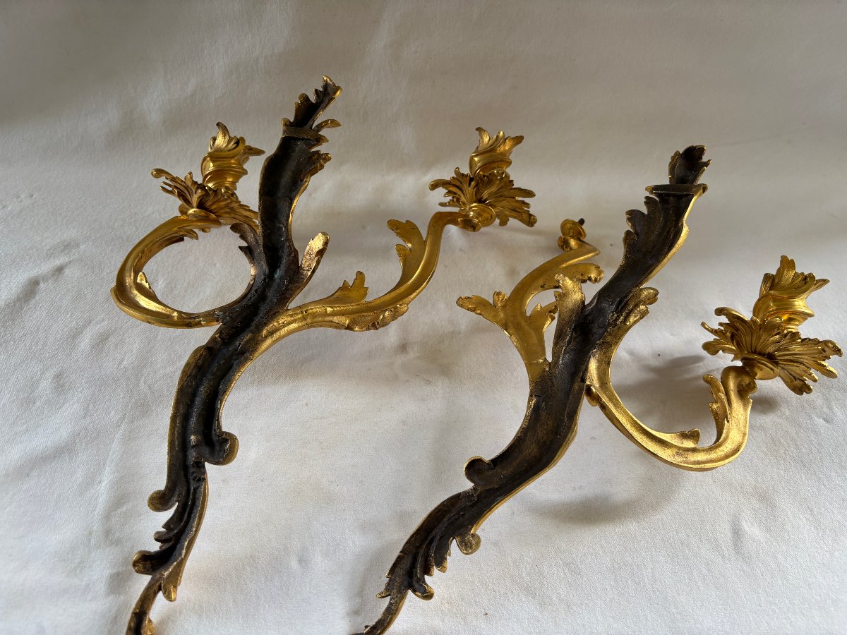 Paire d'appliques ancien travail style Louis XV en bronze doré-photo-2