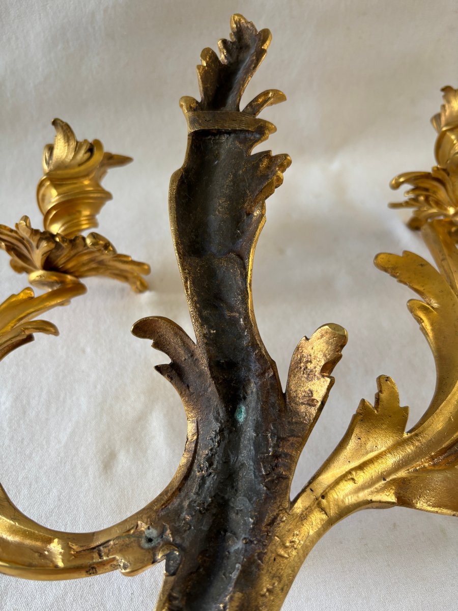 Paire d'appliques ancien travail style Louis XV en bronze doré-photo-3