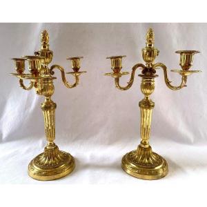 Pair Of Gilt Bronze Candlesticks, Louis XVI Period