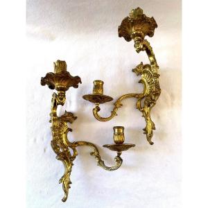 Regency Period Sconces In Gilt Bronze With Dolphins