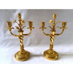 Pair Of Louis XVI Candlesticks In Gilt Bronze 