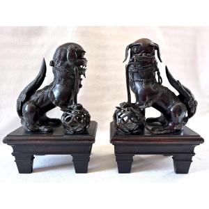 Large Pair Of Bronze Foo Dogs 