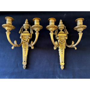Paire d'Appliques Style Louis XVI en Bronze Doré