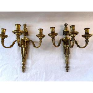Pair Of Gilded Bronze Wall Sconces In The Louis XVI Style
