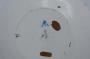 1836850-alb-6accdcd91adfd.jpg