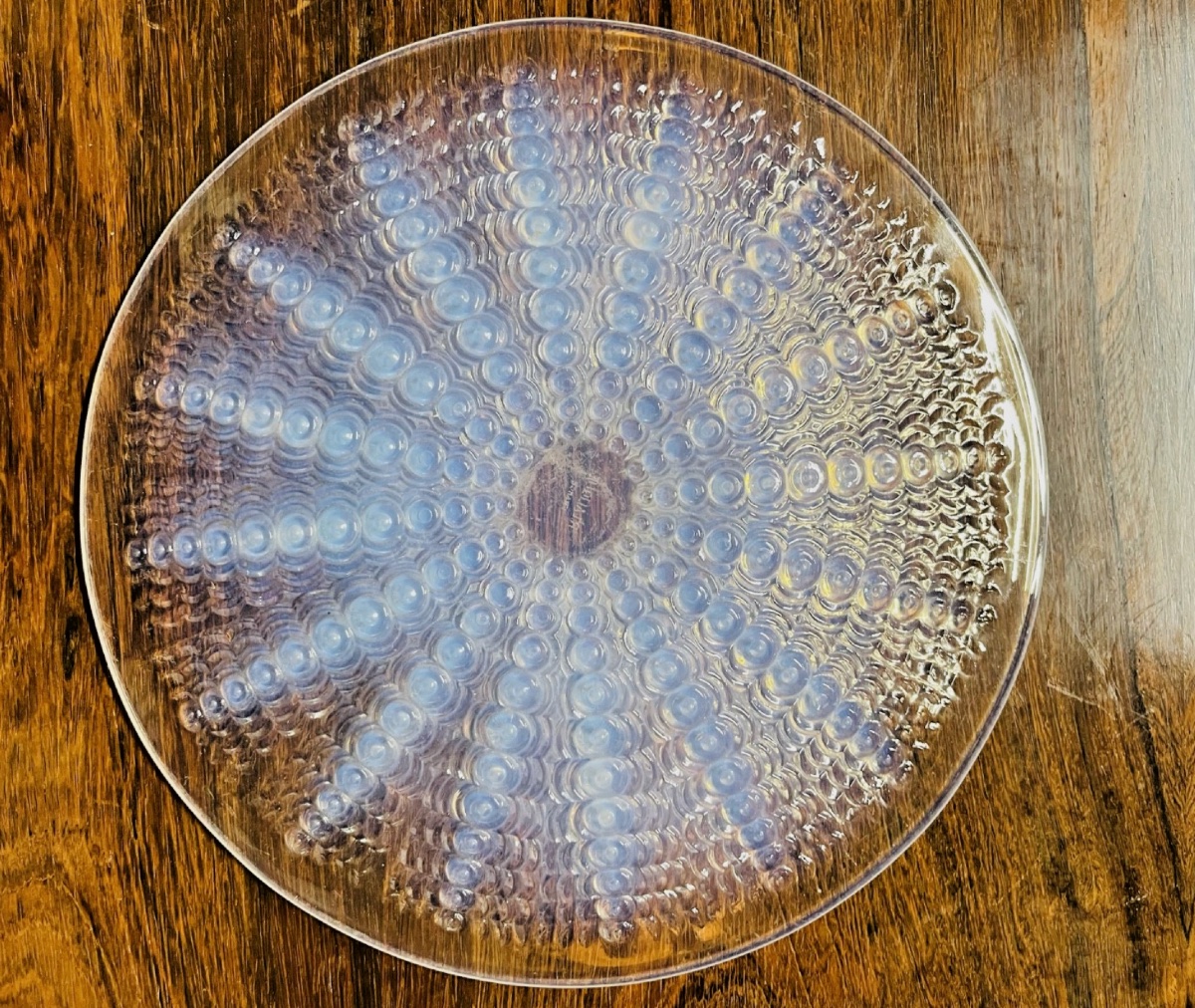 Plat René Lalique modèle Oursin verre opalescent-photo-4