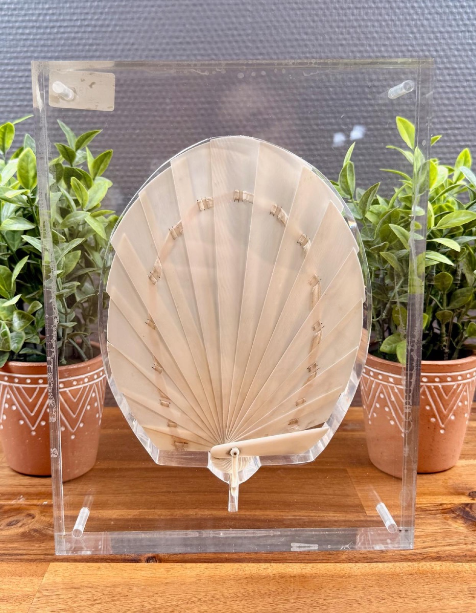 Éventail en plexiglas de Claude de Muzac-photo-2