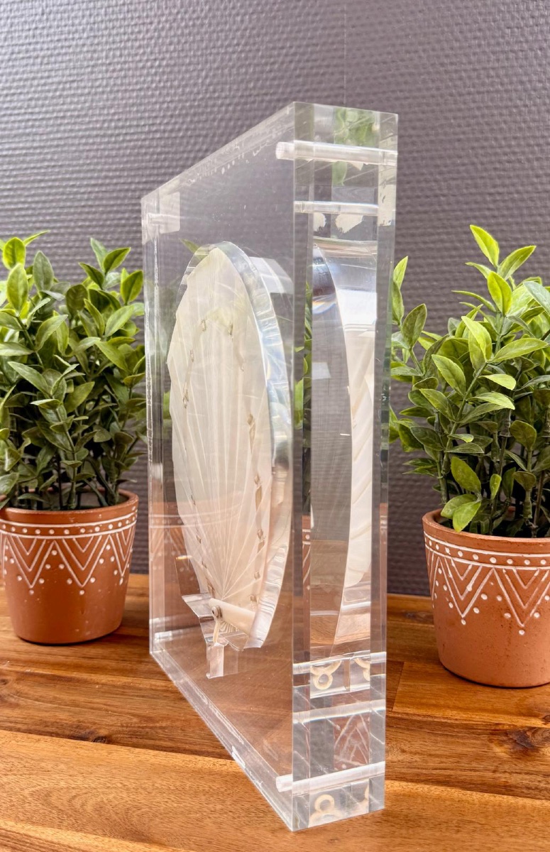 Éventail en plexiglas de Claude de Muzac-photo-1