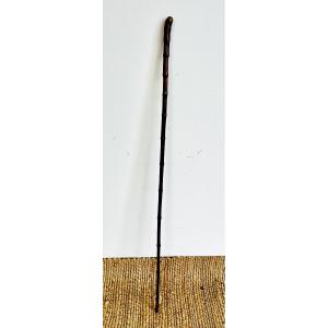 Long-stick Cane In Patinated Bamboo – France, 20th Century