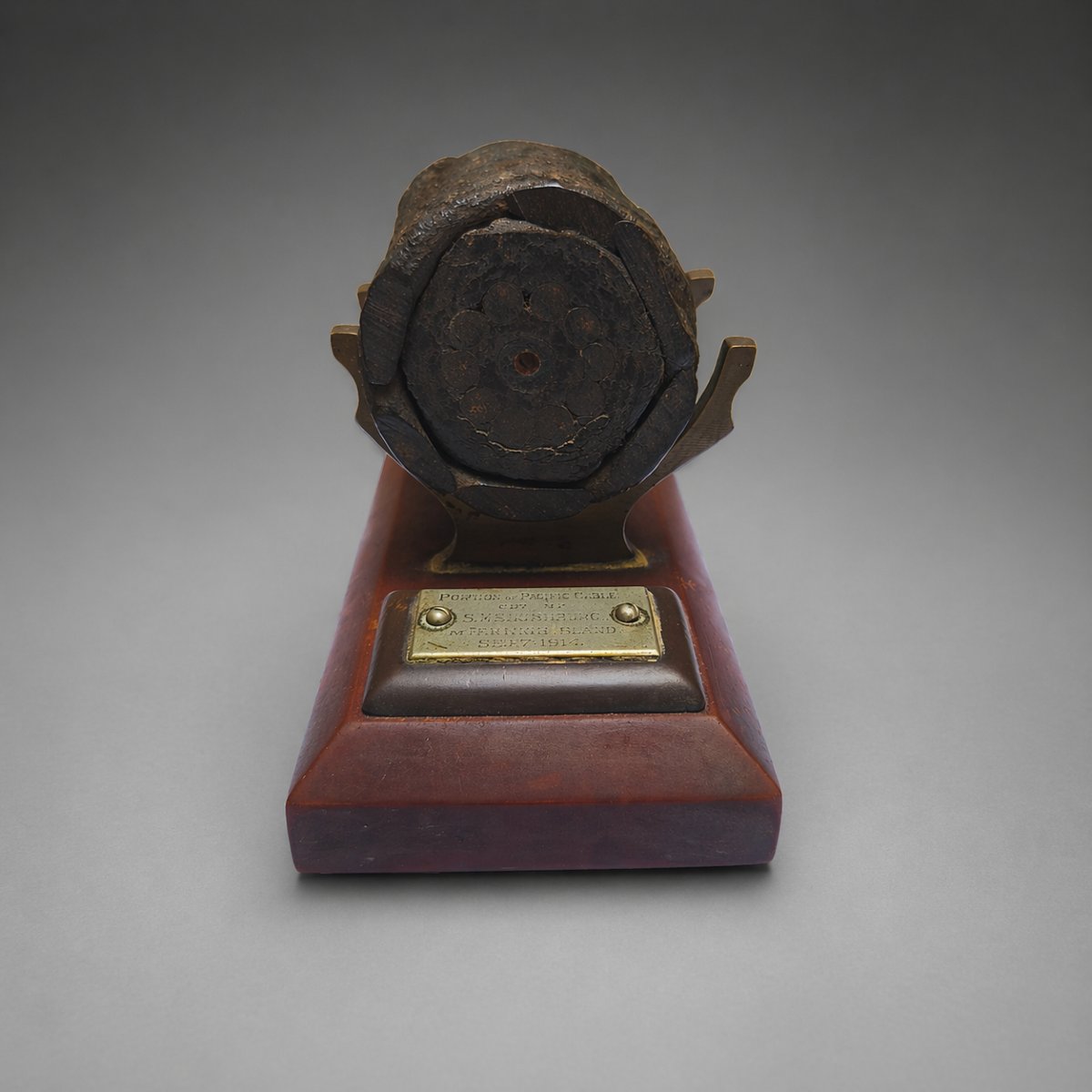 1914-1918, souvenir de la bataille du Pacifique-photo-2