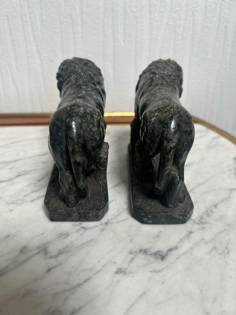 Pair Of Lions -photo-2