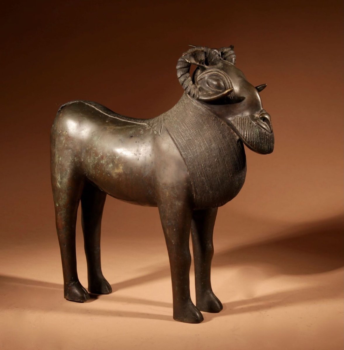 Benin Original Antique Large Bronze Ram Aquamanile Circa 1900 (or Earlier)-photo-4