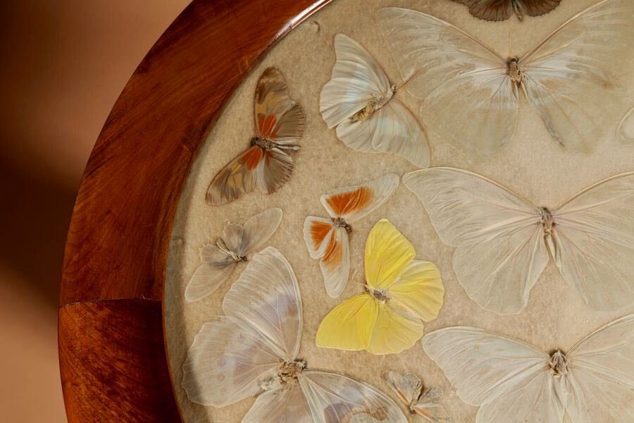 A Brazilian Butterfly Table, Circa 1900-20-photo-4
