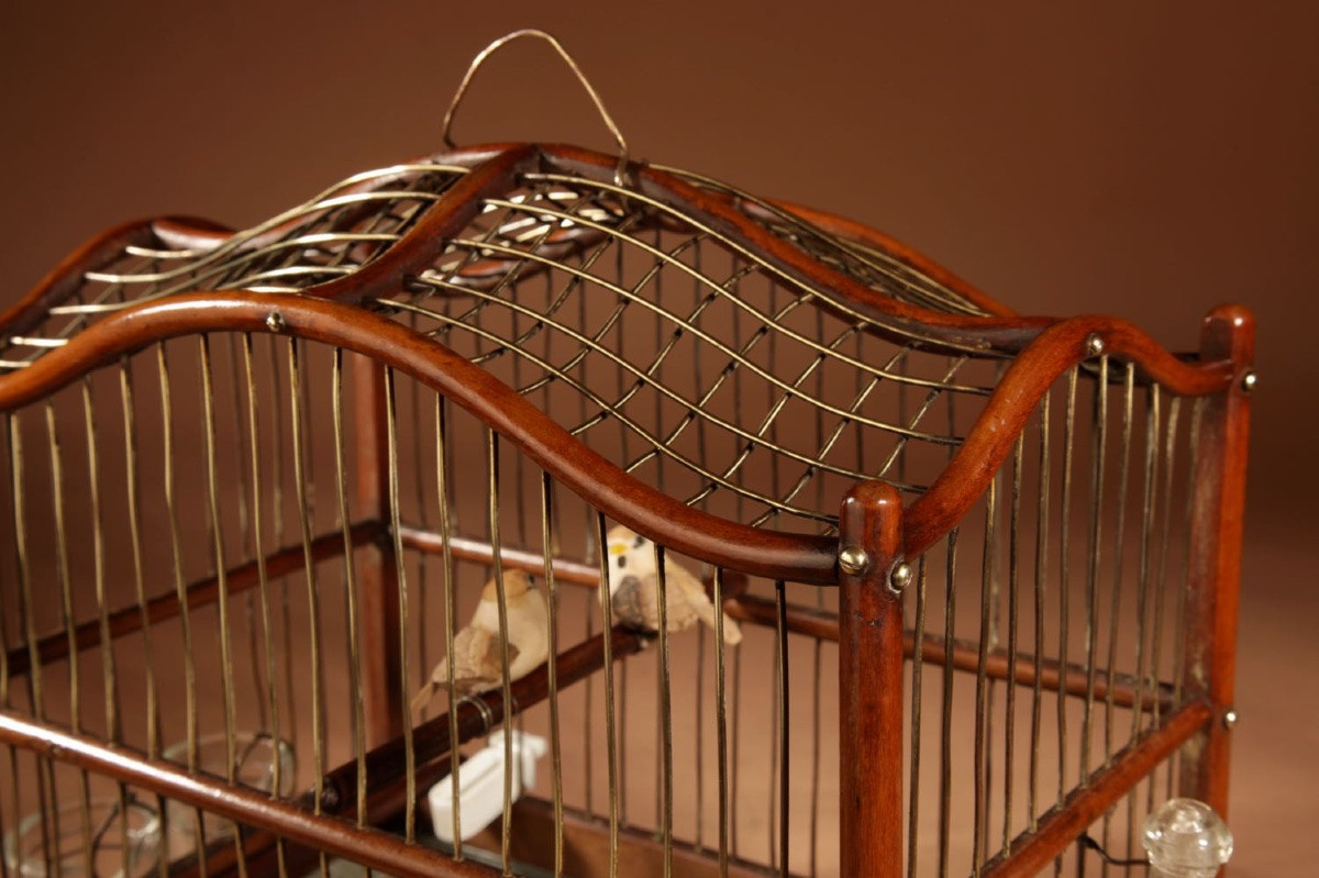  Rare Cage à Oiseaux En Acajou Et Laiton, Anglo-néerlandaise, Vers 1870-photo-5