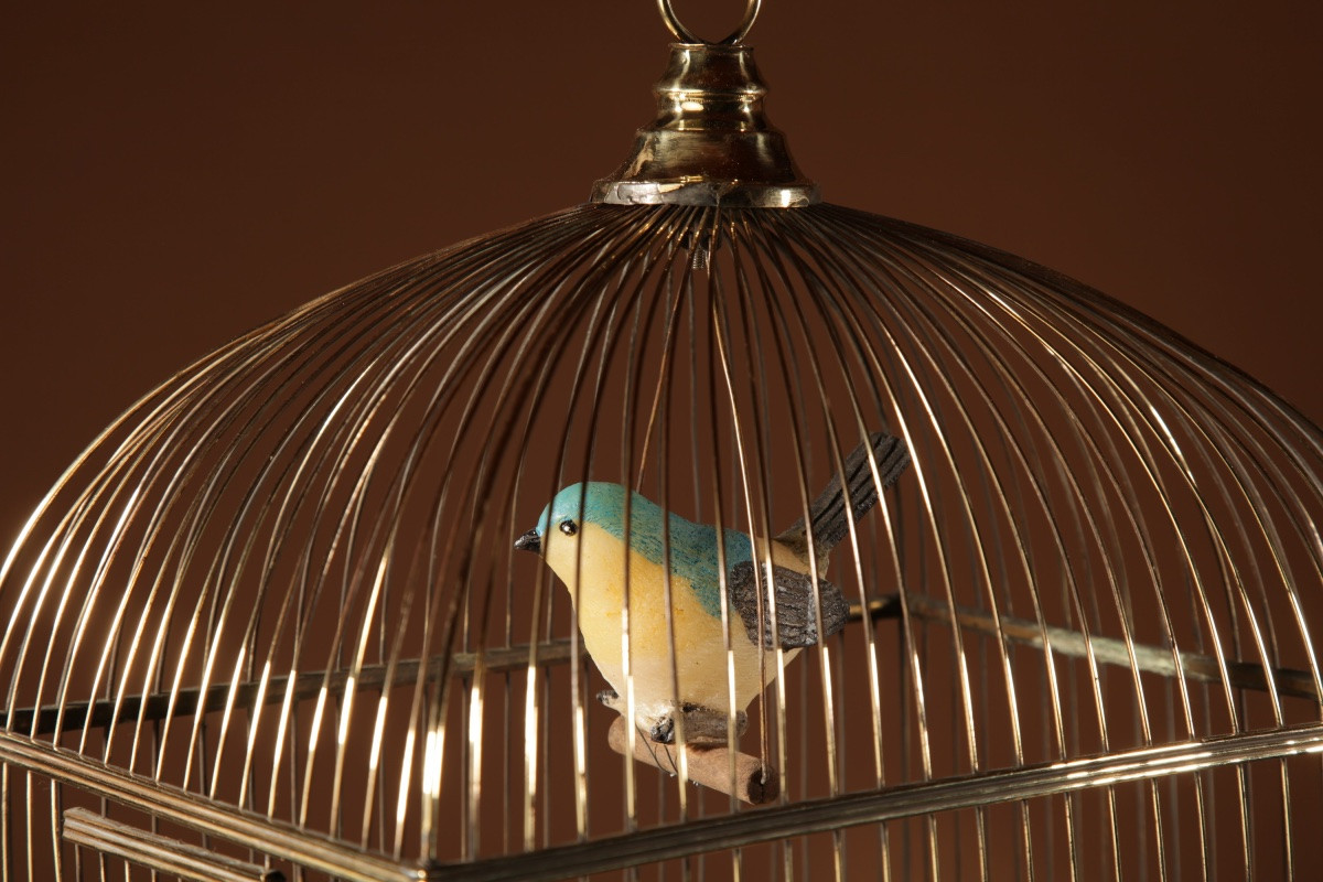 A Brass Very Decorative Bird Cage Circa 1920-40-photo-4