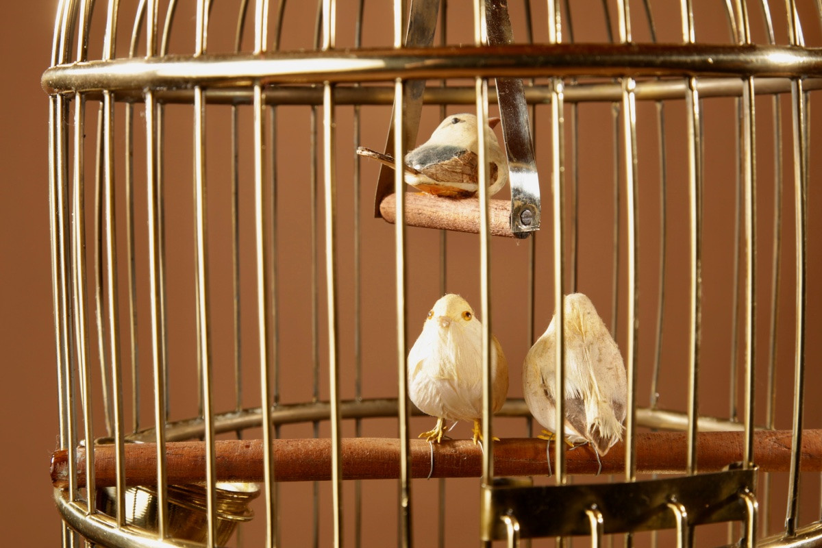 Cage à oiseaux ronde en laiton très décorative, vers 1920-40-photo-3