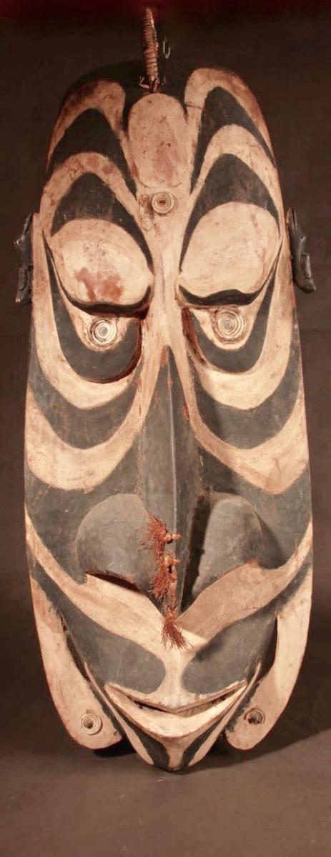 A Very Interesting And Decorative Original Shield Of The Sepik River